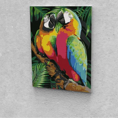 Papagályok festés számok alapján kreatív készlet 30x40