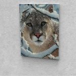 Puma festés számok alapján kreatív készlet 30x40