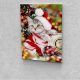 Cica karácsonykor festés számok alapján kreatív készlet keret nélkül 40x50