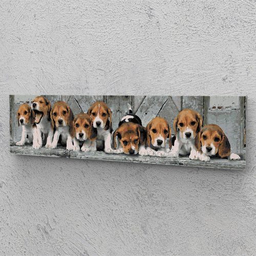 Beagle kiskutyák festés számok alapján kreatív készlet keret nélkül 20x80