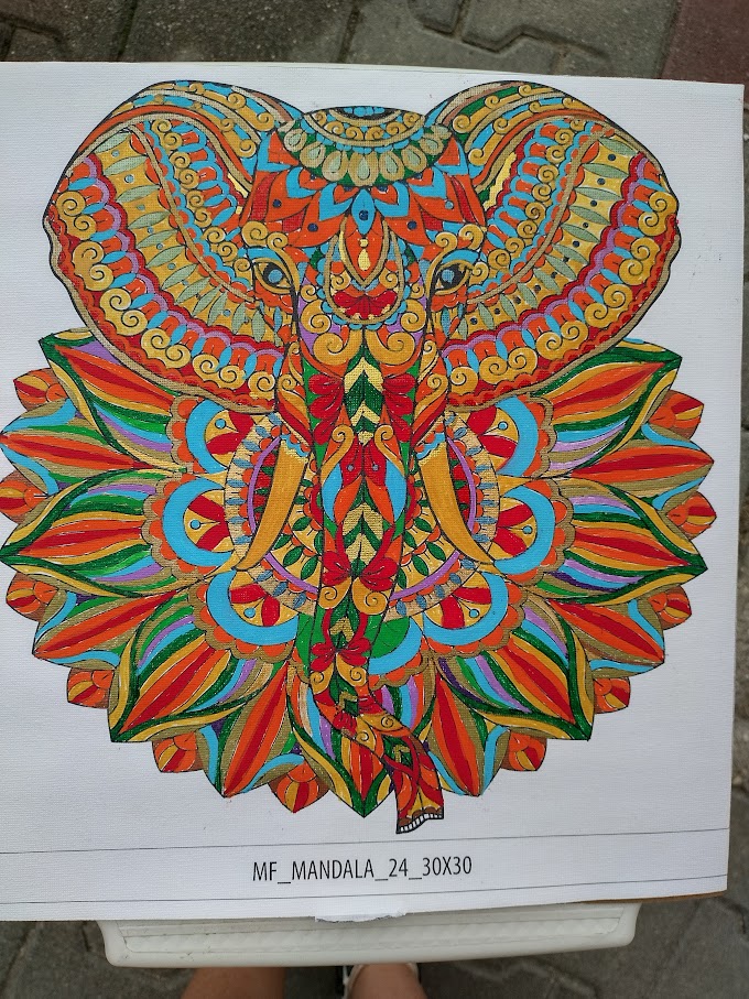   Kreatív festés maradék festékek felhasználásához oroszlán-2
