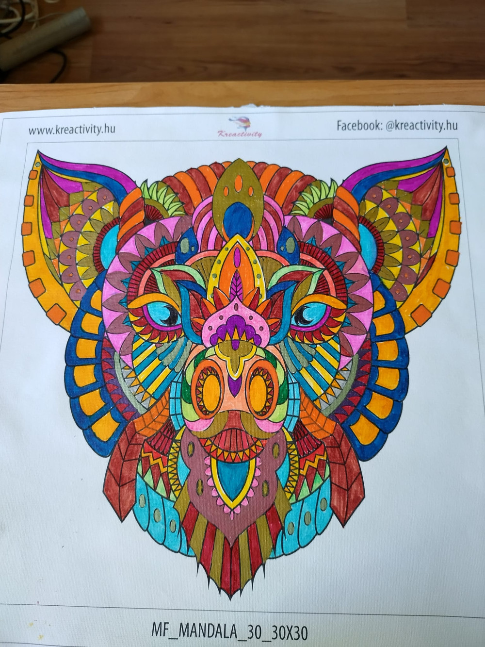   Kreatív festés maradék festékek felhasználásához malac
