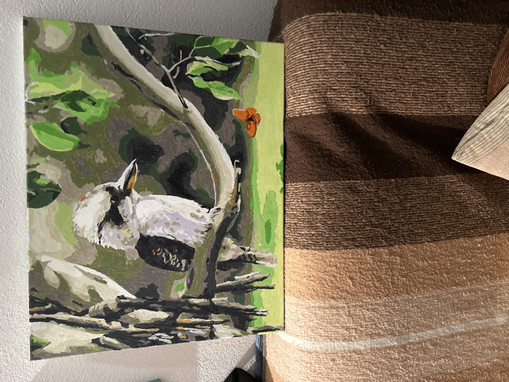   Kacagójancsi festés számok alapján kreatív készlet kerettel 40x50
